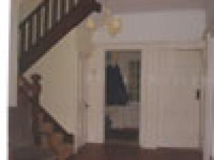 Internal Shot