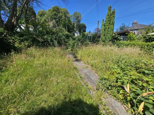Rear Garden.jpg