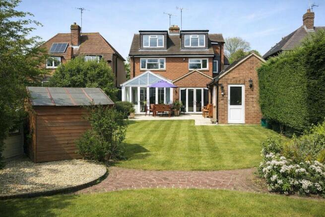 WhatsApp Image 2026-02-24 at 19.16.04.jpeg