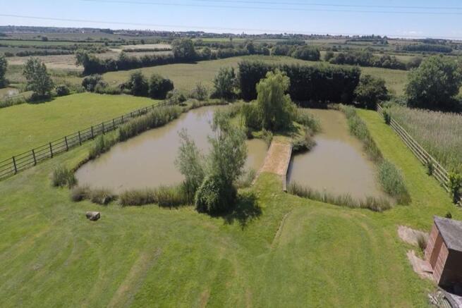 Pond