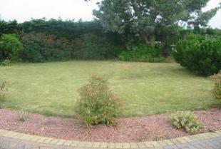 Garden 2