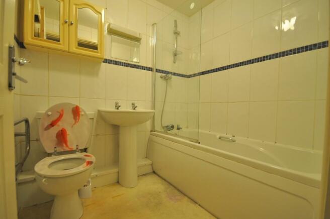 Photo 5