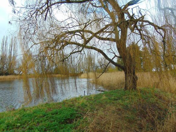 Photo 26