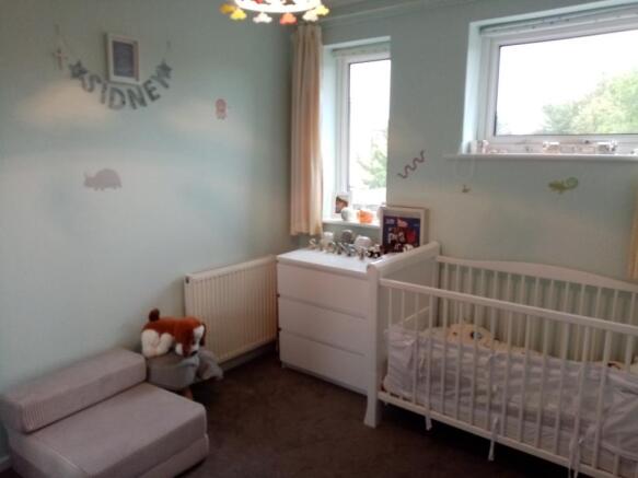 Photo 11