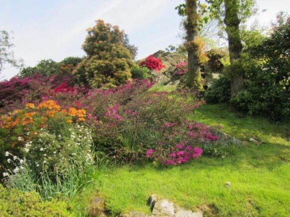 Garden in spring