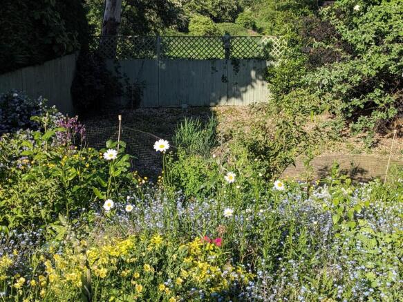 Cottage Garden