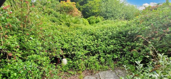 Garden.jpg