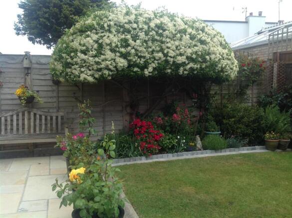 garden 2.jpg