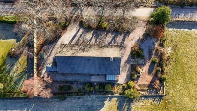 View of the whole plot