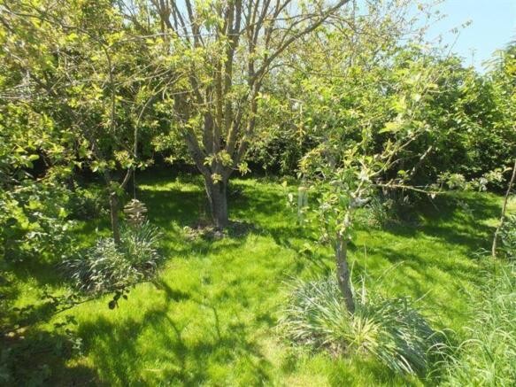 Orchard