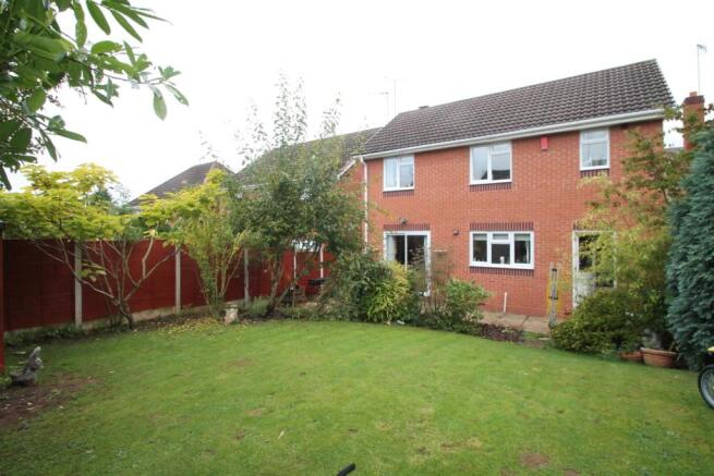 thorn close 11 (8).j