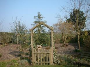 Photo 11