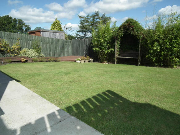 Picture 9