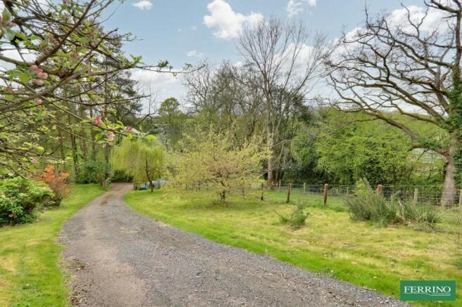 Driveway