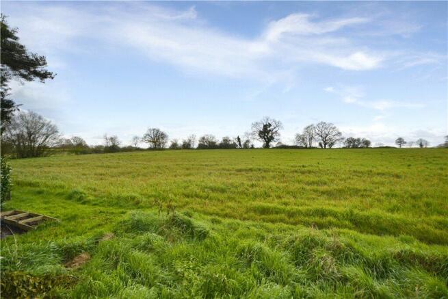 Field Views