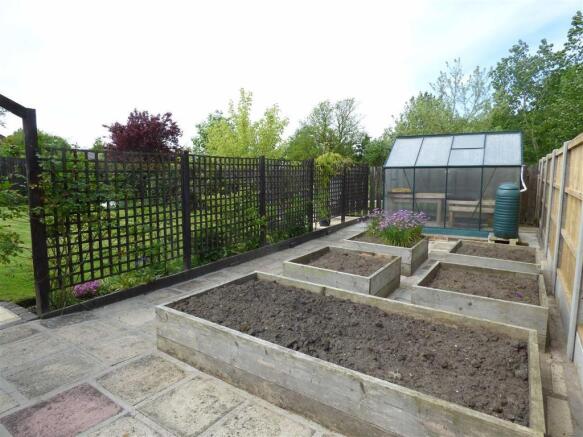 Garden Pic 3