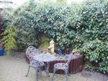 Rear Patio