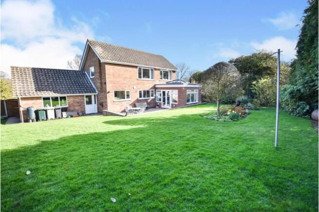 Rear View