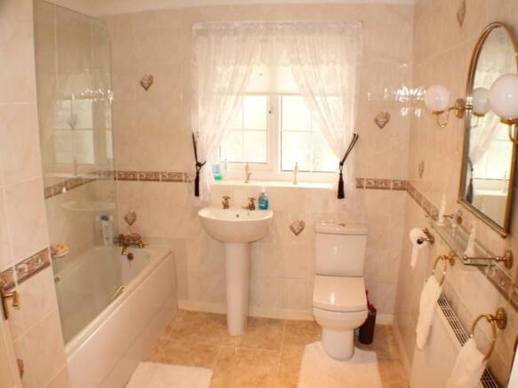 Photo 11
