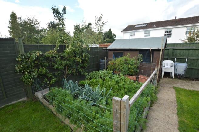 Vegetable Patch