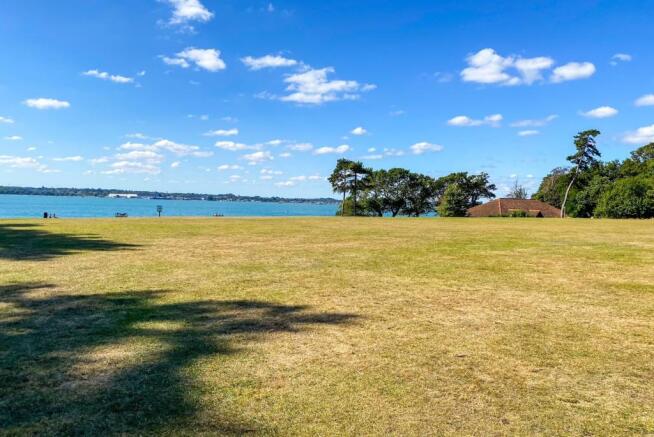 The Cricket Field