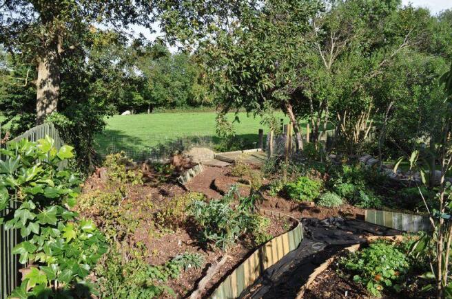 FIELDS FROM GARDEN