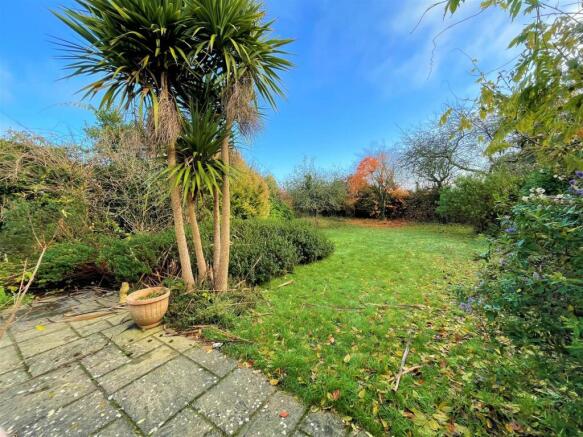 rear garden.jpg