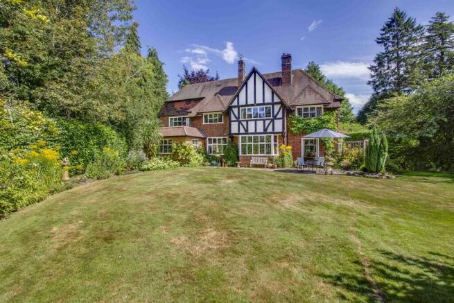 Mayhews Burtons W...