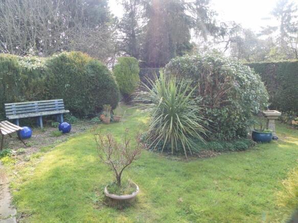 Photo 11