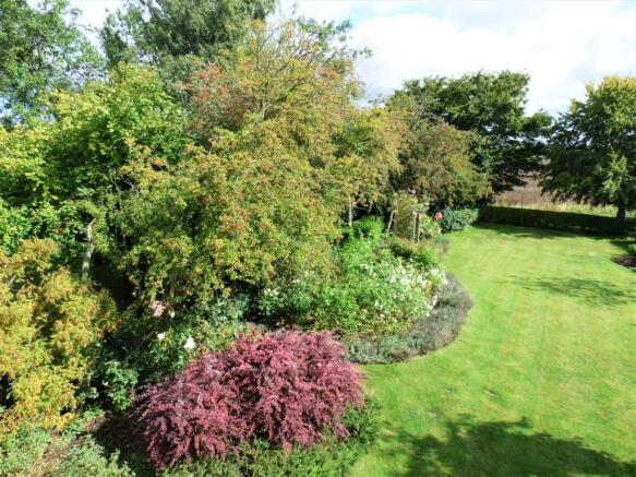 rear gardens