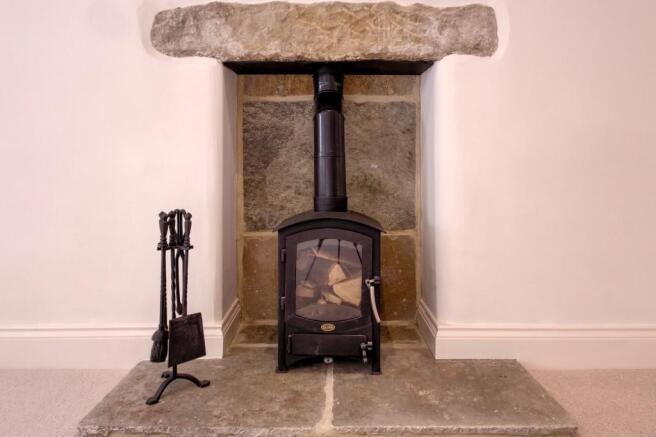 Log burning stove