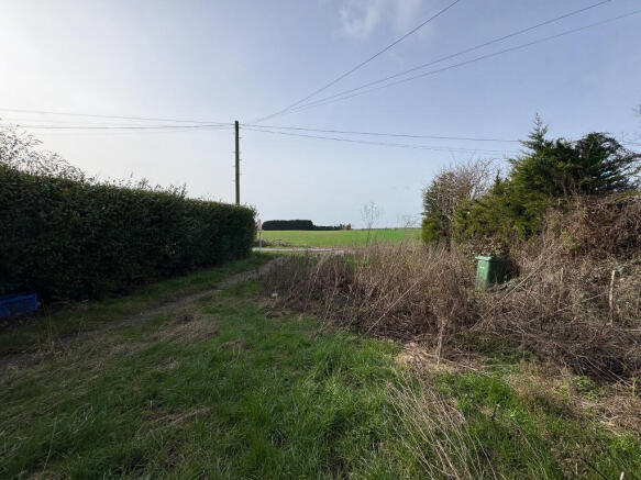 20260217 130113985 IOS Medium -2 T202602191240.jpg