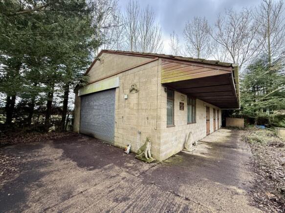 IMG 0869 T202602171650.jpeg