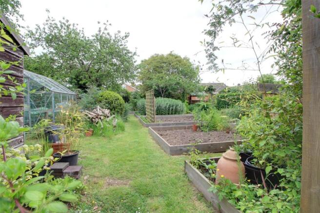Vegetable Garden