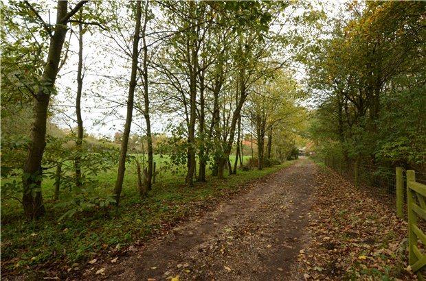 Halesworth Driveway