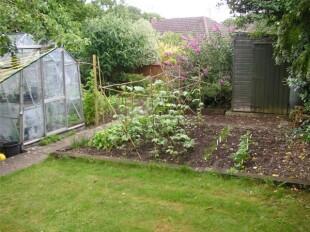 VEGETABLE AREA