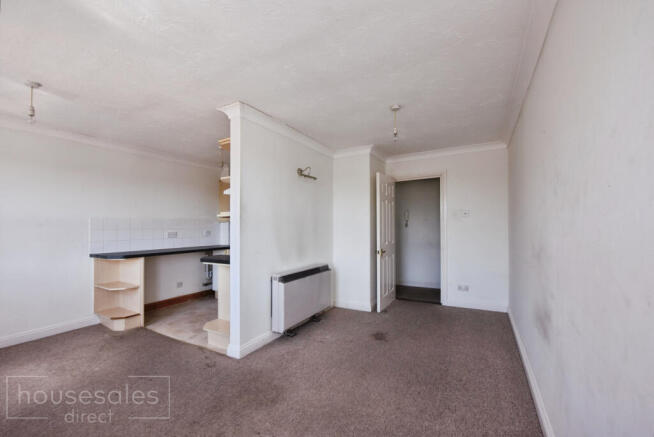 Living/Kitchen Area