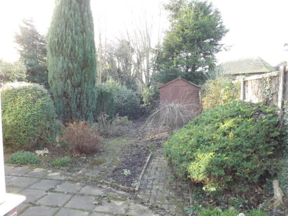 Photo 15
