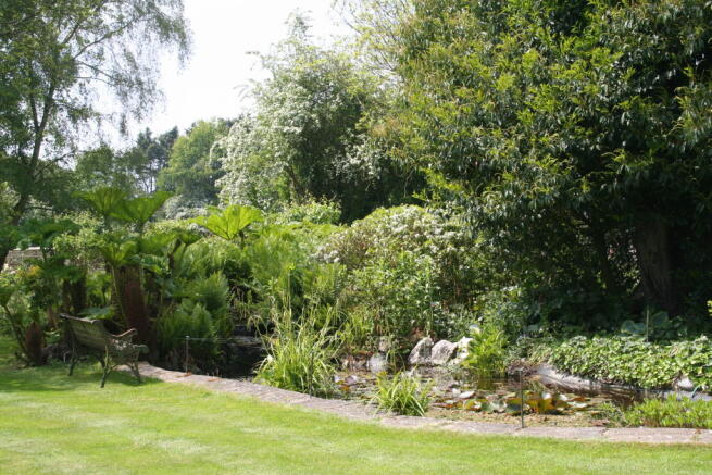 Pond