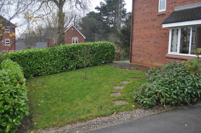 Side Garden