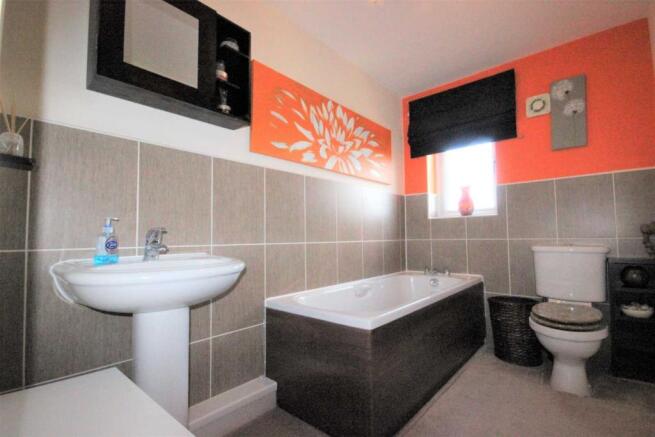 IMG_0572.JPG