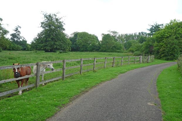 Front Paddock