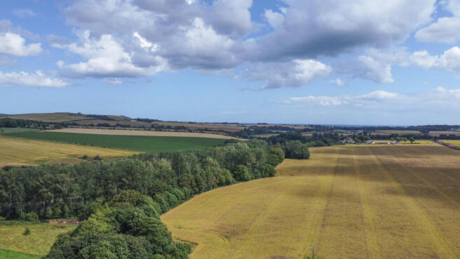 Drone View