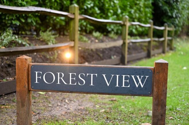 Forest View