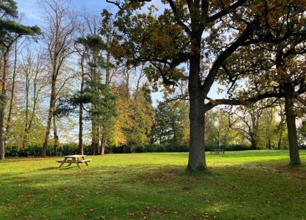 Grounds