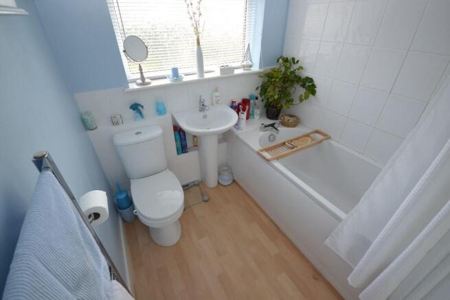 Photo 15