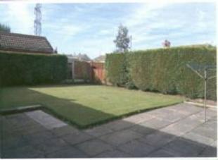 Picture 2