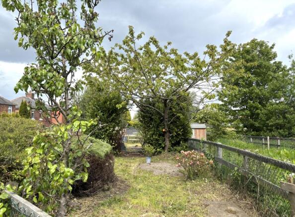 Rear garden