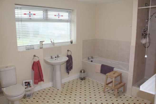 Photo 7