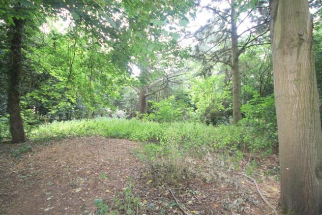 Woodland